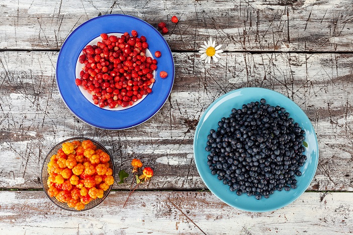 F&B Distributors Make New Partnership with Estonia