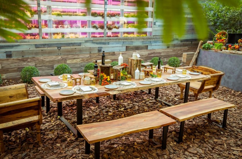Arcadia at Jumeirah Zabeel Saray uses Farm-Fresh Ingredients