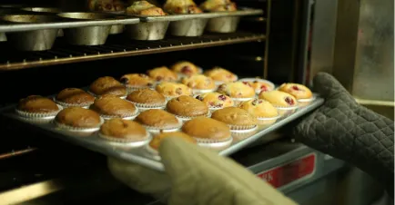 Exploring Opportunities for F&B Innovation and Growth: Government Inquiry