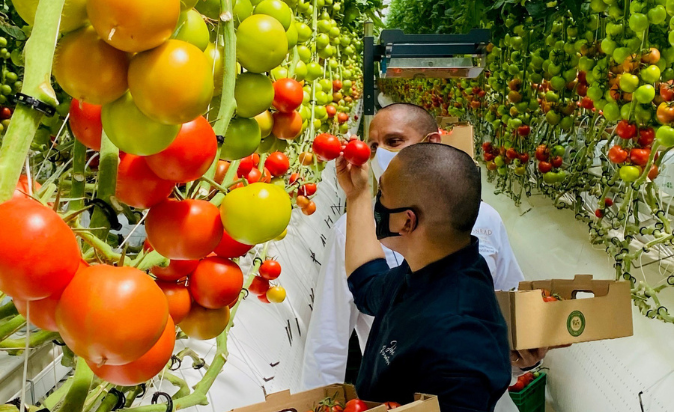 Hilton Extends its Partnership with Fresh On Table in UAE