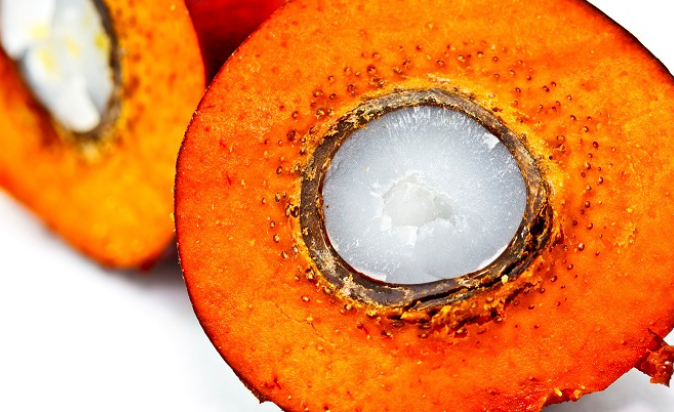 Compliance Documentation is Crucial for Supplying Sustainable Palm Oil