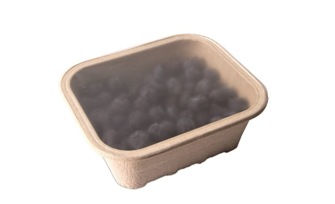 Revolutionary Sustainable Packaging For Fruits and Vegetables