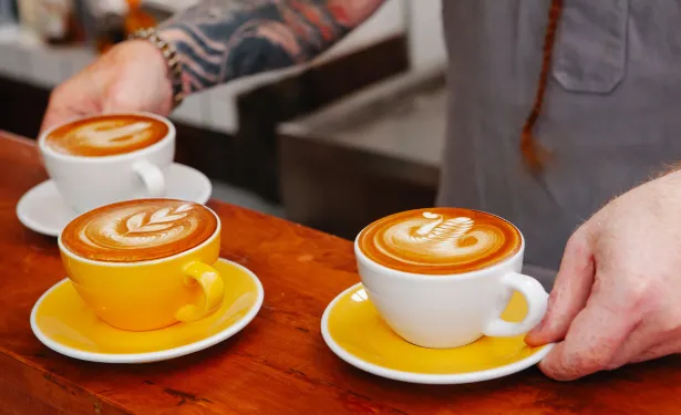 Coffee Culture in the Middle East: A Detailed Exploration of Brewing Trends, Local Brands, and the Global Influence of Coffee Enthusiasm