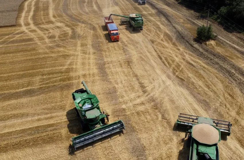 A food insecurity expert predicts Russian invasion disrupts production of wheat