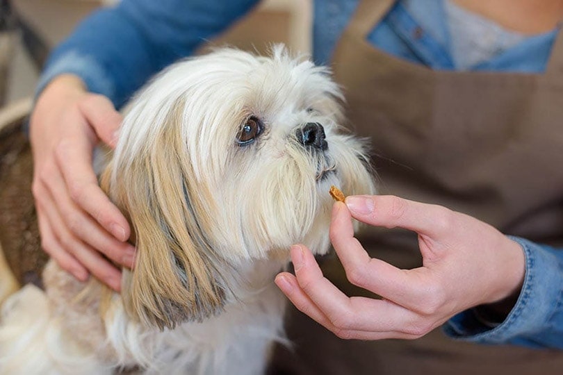 FMCG firms are attentive to the pet care industry