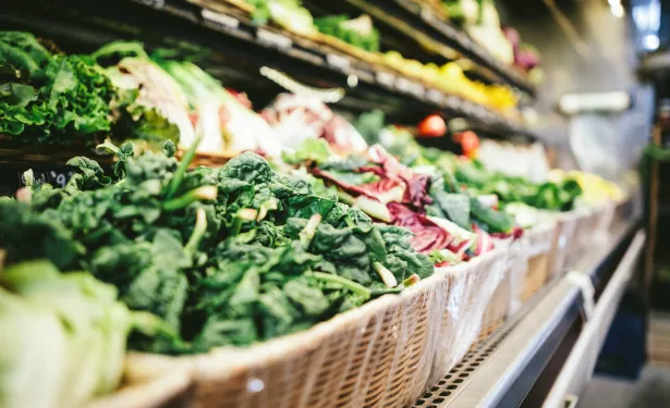 Fresh Connect: Delivering Quality Thai Fruits and Vegetables Globally