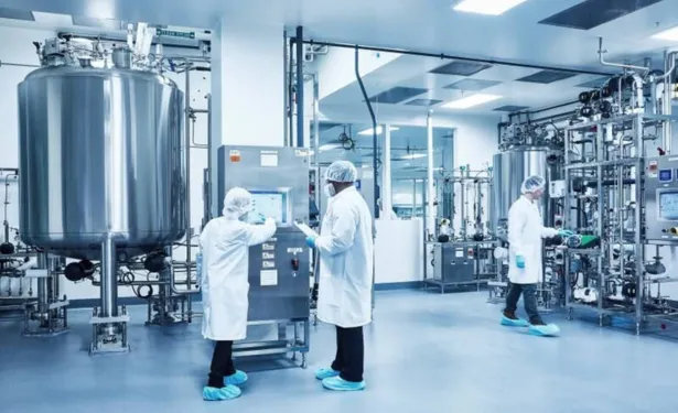 Navigating the Halal Debate: Lab-Grown Meat and Islamic Perspectives