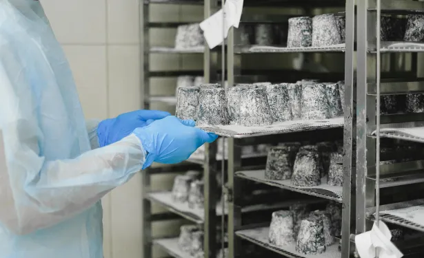 How Qatari catering company Estithmar Holding is breaking new ground