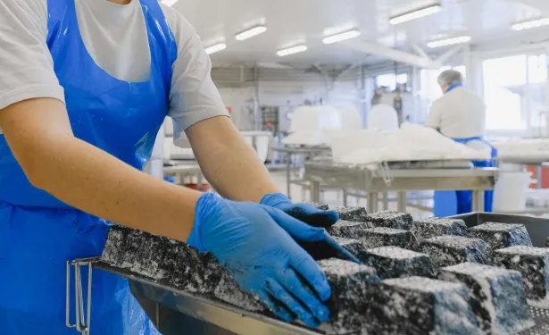 IMA in 2023 at Gulfood Manufacturing